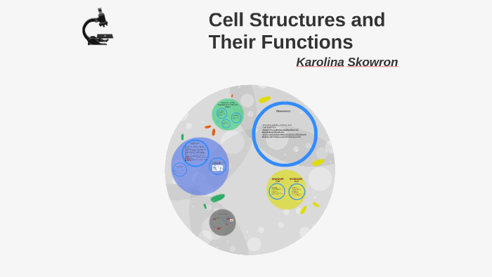 Cell Structures and Their Functions by karolina skowron