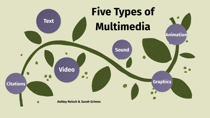 multimedia presentation types