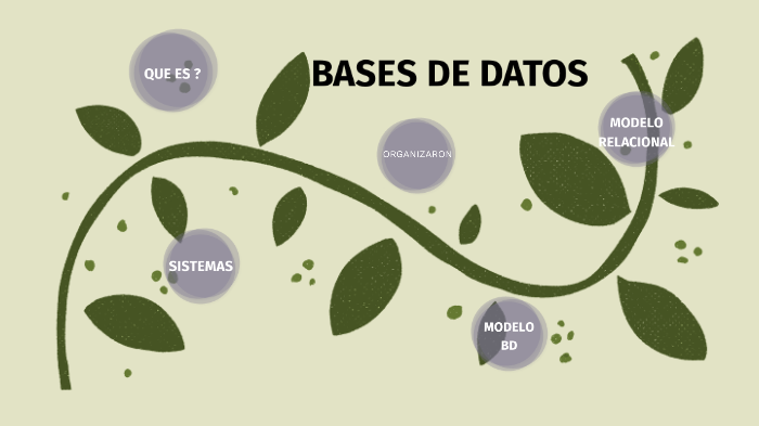 BASES DE DATOS by Kathe Zapata on Prezi