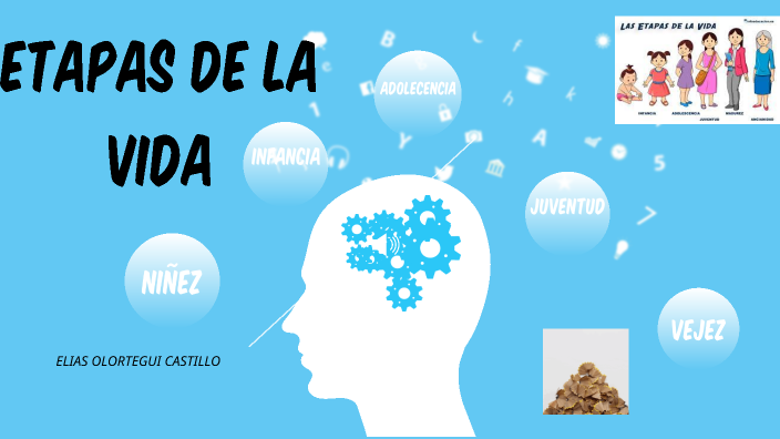Etapas de la vida by Elias Nicolas Olortegui Castillo on Prezi