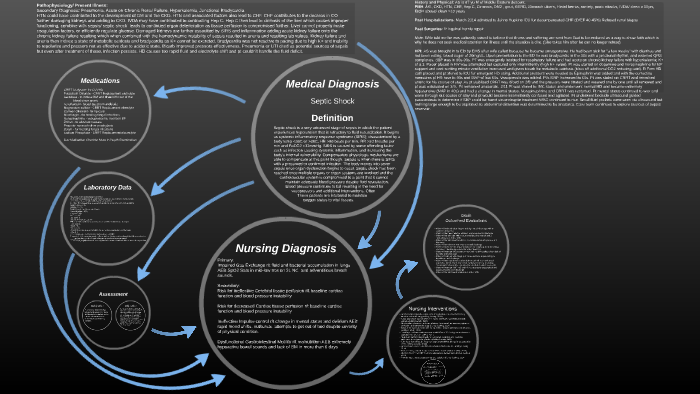 Spring Concept Map 1 by on Prezi