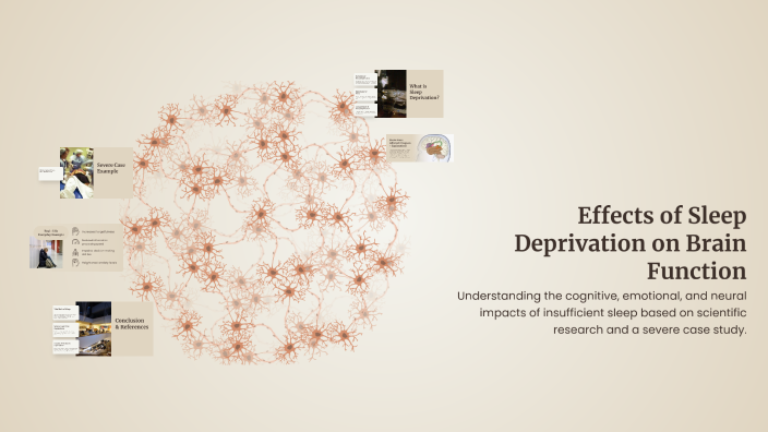 Effects of Sleep Deprivation on Brain Function by rabi ali on Prezi