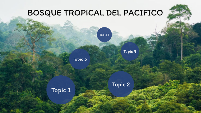 BOSQUE TROPICAL DEL PACIFICO By Cristhian Onofre Figueroa On Prezi