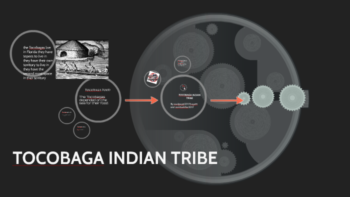 TOCOBAGA TRIBE by on Prezi