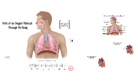 oxygen thing that goes in your nose