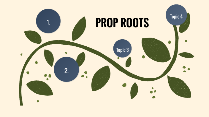 prop-roots-by-hira