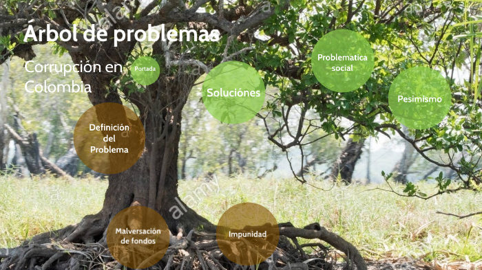 Corrupción - Árbol de problemas by Carlos Mario Duque Cortes on Prezi