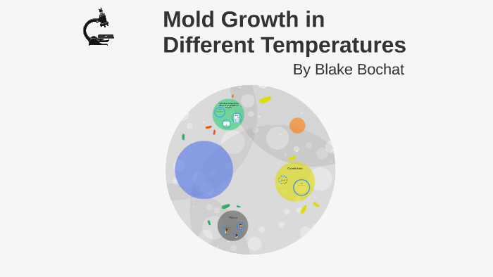 hypothesis for mold growth