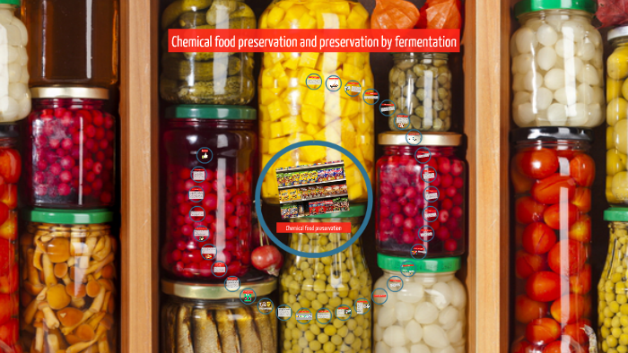 chemical-food-preservation-and-preservation-by-fermentation-by-claudia