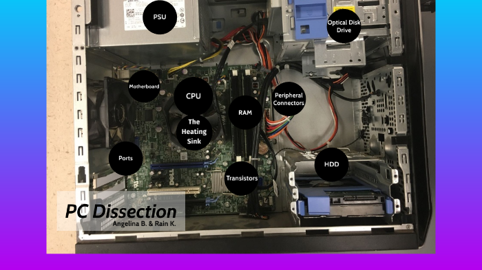 PC Dissection by Rain Koay on Prezi