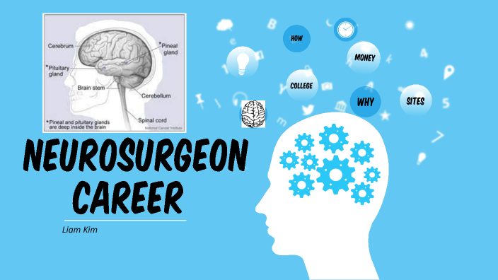 essay on my dream career as a neurosurgeon