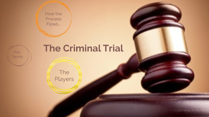 criminal trial process essay
