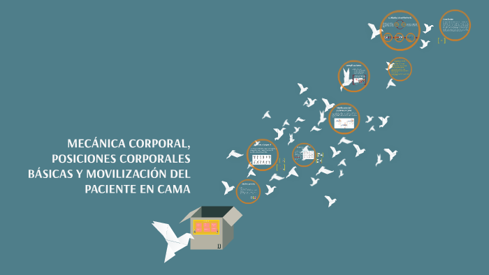 dibujos de posiciones corporales basicas dibujos de posiciones corporales basicas