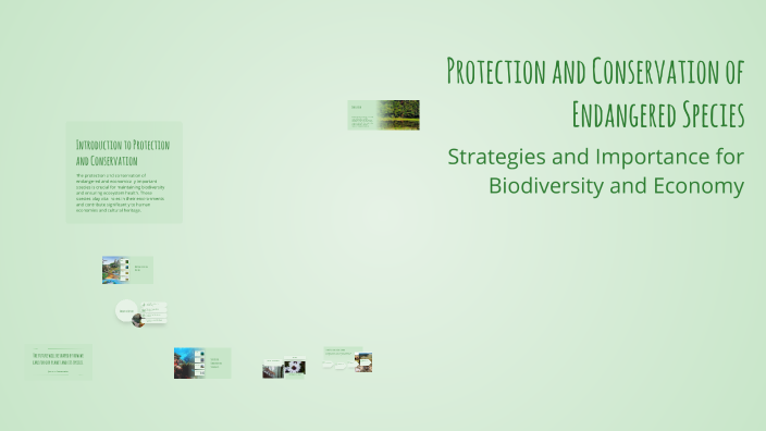 Protection and Conservation of Endangered Species by Justin Soriano on ...