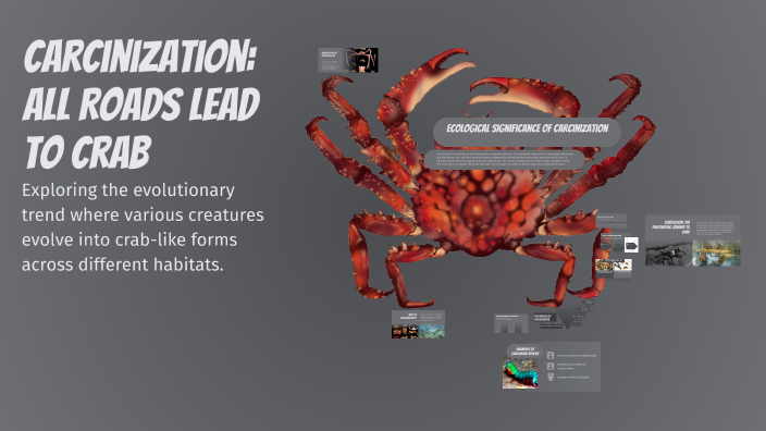 Carcinization: All Roads Lead to Crab by T G M on Prezi