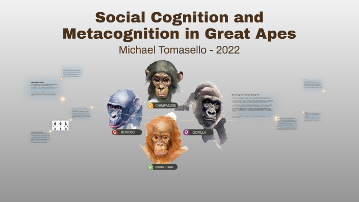 Social Cognition and Metacognition in Great Apes by Arda Karasakal on Prezi