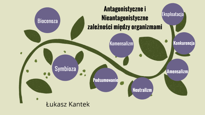 Antagonistyczne I Nieantagonistyczne Zależności Między Organizmami Antagonistyczne i nieantagonistyczne zależności miedzy organizmami. by