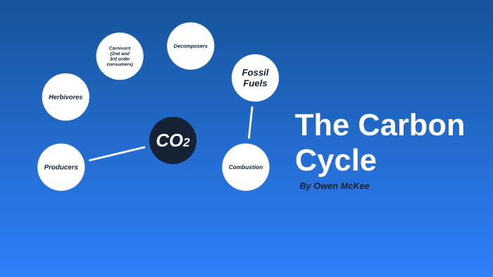 The Carbon Cycle by Owen McKee on Prezi