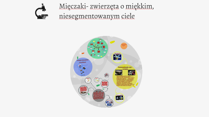 Mięczaki- zwierzęta o miękkim, niesegmentowanym ciele by Natalia