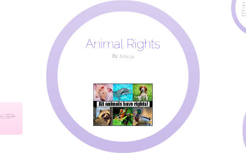 Animal Rights by Jessie M. on Prezi