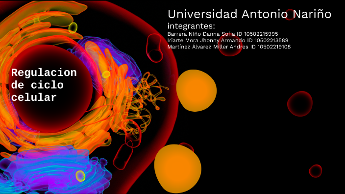 Ciclo de regulacion celular by DANNA SOFIA BARRERA NIÑO on Prezi