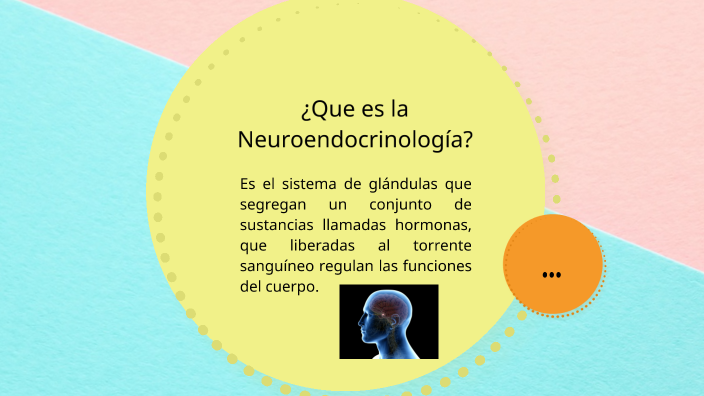 Neuroendocrinología By Sandra Ortega On Prezi Next