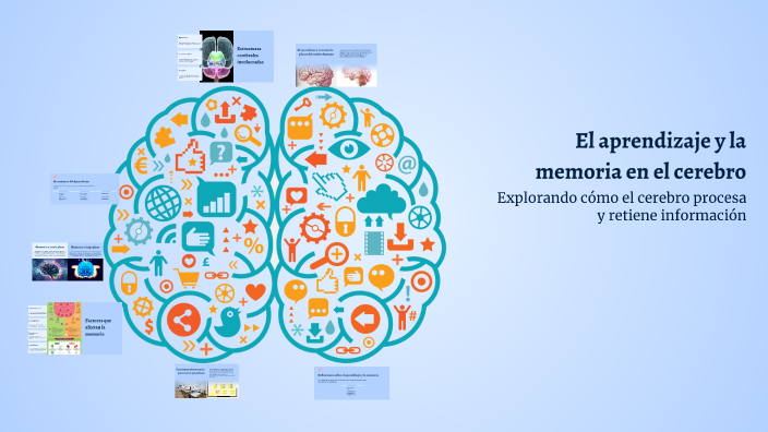 El aprendizaje y la memoria en el cerebro by Leo VC on Prezi