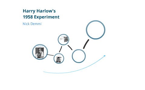 das harlow experiment