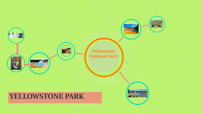 Yellowstone National Park By Beatriz B