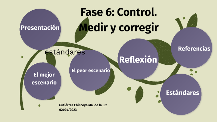 Fase 6: Control. Medir y corregir by MARÍA DE LA LUZ GUTIÉRREZ CHINCOYA