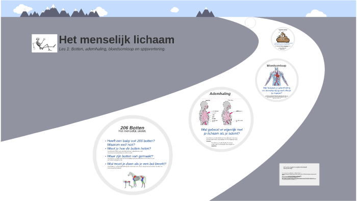 Het menselijk lichaam. les 1: botten, ademhaling, bloedsomloop en ...