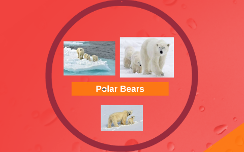 Global Warming by on Prezi