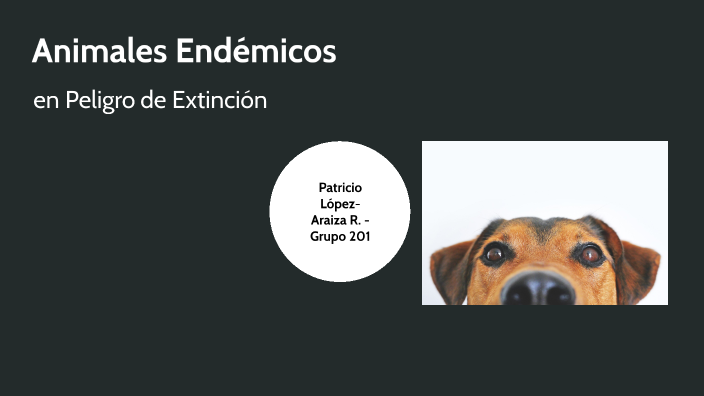 Animales Endémicos en Peligro de Extinción by Yllw Brd on Prezi