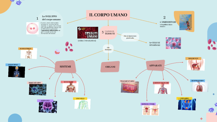 The Power of Innovation by luigi di benedetto on Prezi