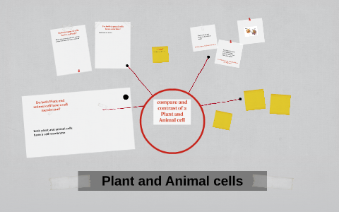 Plant and Animal cells by Jared Smith on Prezi
