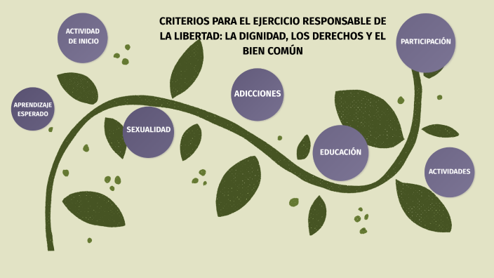 2° CRITERIOS PARA EL EJERCICIO RESPONSABLE DE LA LIBERTAD: LA DIGNIDAD