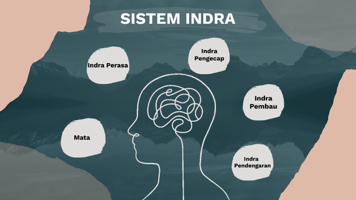 Sistem Indra by irsya Andriyansyah on Prezi