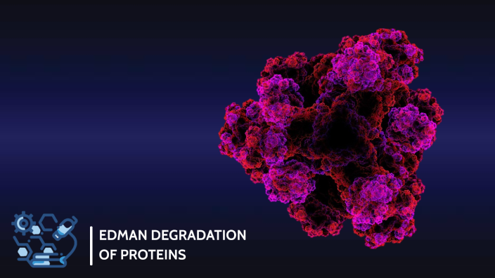 Edman Degradation of Proteins by Mae Gene on Prezi