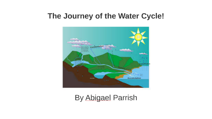 The Journey of the Water Cycle by Abigael Parrish on Prezi