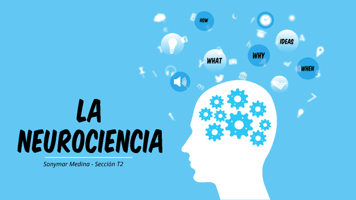 La neurociencia by Sonymar Medina on Prezi