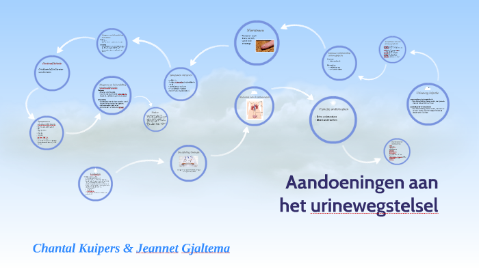 Aandoeningen aan het urinewegstelsel by Jeannet Gjaltema on Prezi