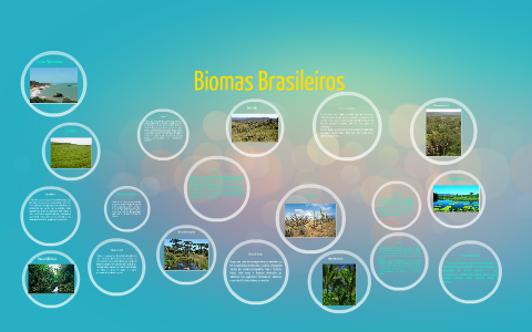 Biomas Brasileiros by Adriana Aparecida Cíntia Barbosa Machado on Prezi