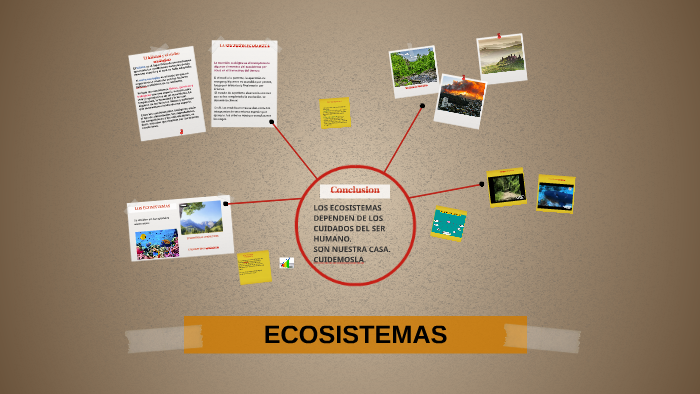 ECOSISTEMAS by sandra valencia on Prezi