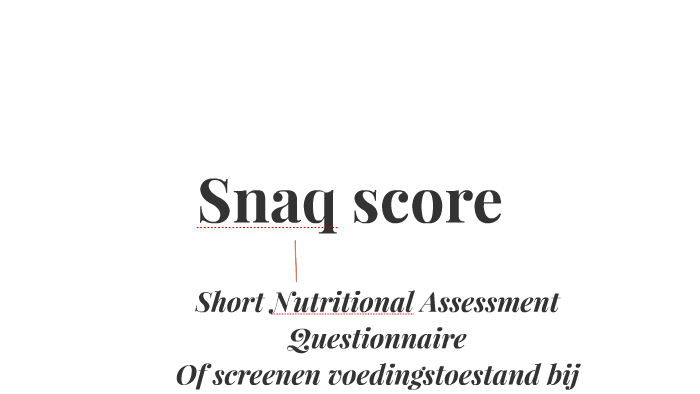 Snaq score by s Berendsen on Prezi