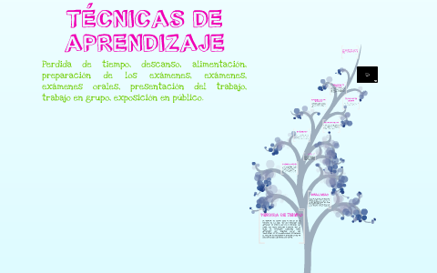 TÉCNICAS DE APRENDIZAJE by Constanza Karina Mendoza Salgado on Prezi