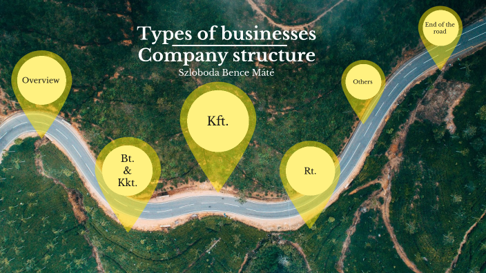 types-of-businesses-company-structure-by-szloboda-bence-m-t-on-prezi