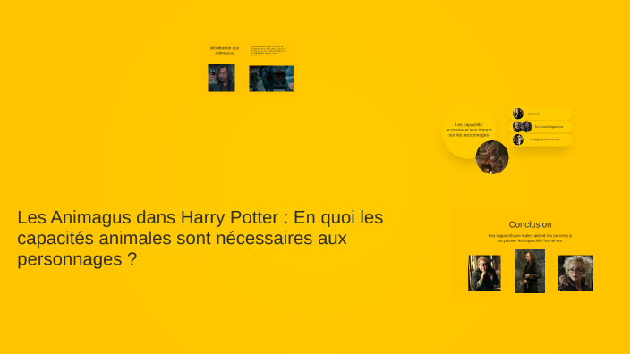 Les Animagus dans Harry Potter : En quoi les capacités animales sont ...