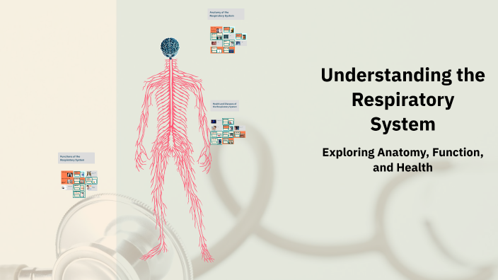 Understanding the Respiratory System by suzette thompson on Prezi