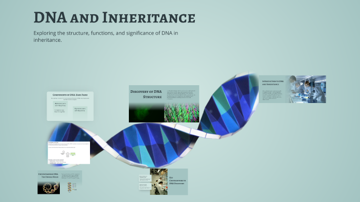 DNA and Inheritance by Jacob Sgro on Prezi