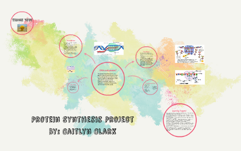 Protein Synthesis Project by Caitlyn Clark on Prezi